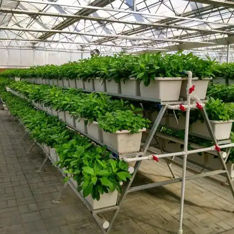 洛阳市植物工厂水肥机 - 推荐