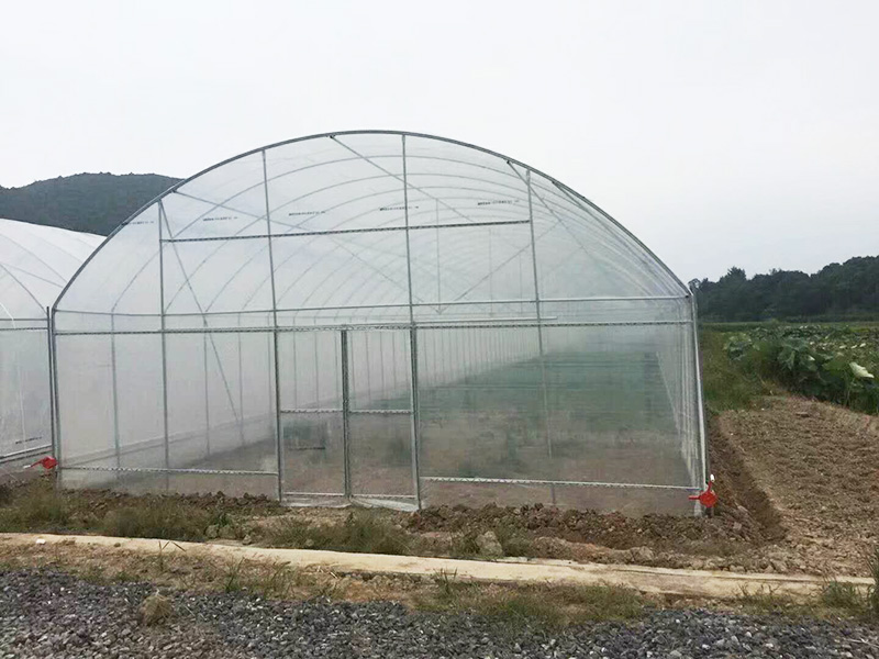 洛阳市薄膜大棚鱼菜共生 - 价格